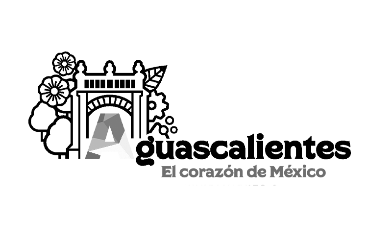 cliente gobierno aguascalientes